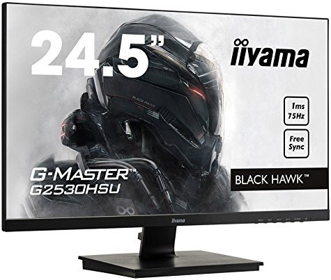 Ecran Iiyama G-Master Black Hawk 24,5" (Freesync)